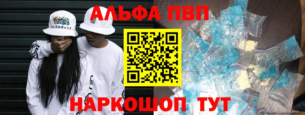 A PVP СК КРИС Беслан