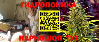 ECSTASY Абинск