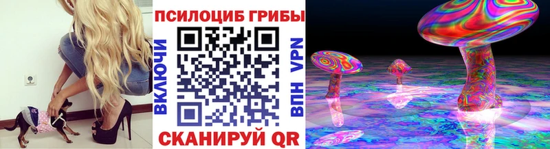 Псилоцибиновые грибы Psilocybine cubensis  hydra ссылки  Беслан 